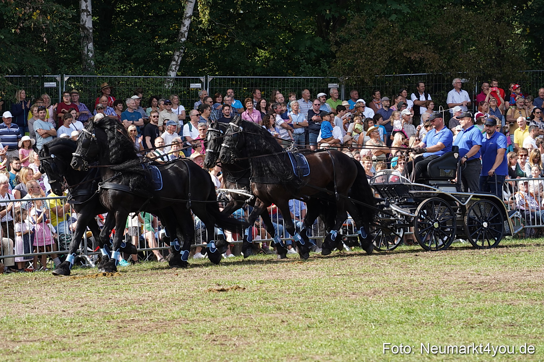 Pferde und Fohlenschau 2022 0199 